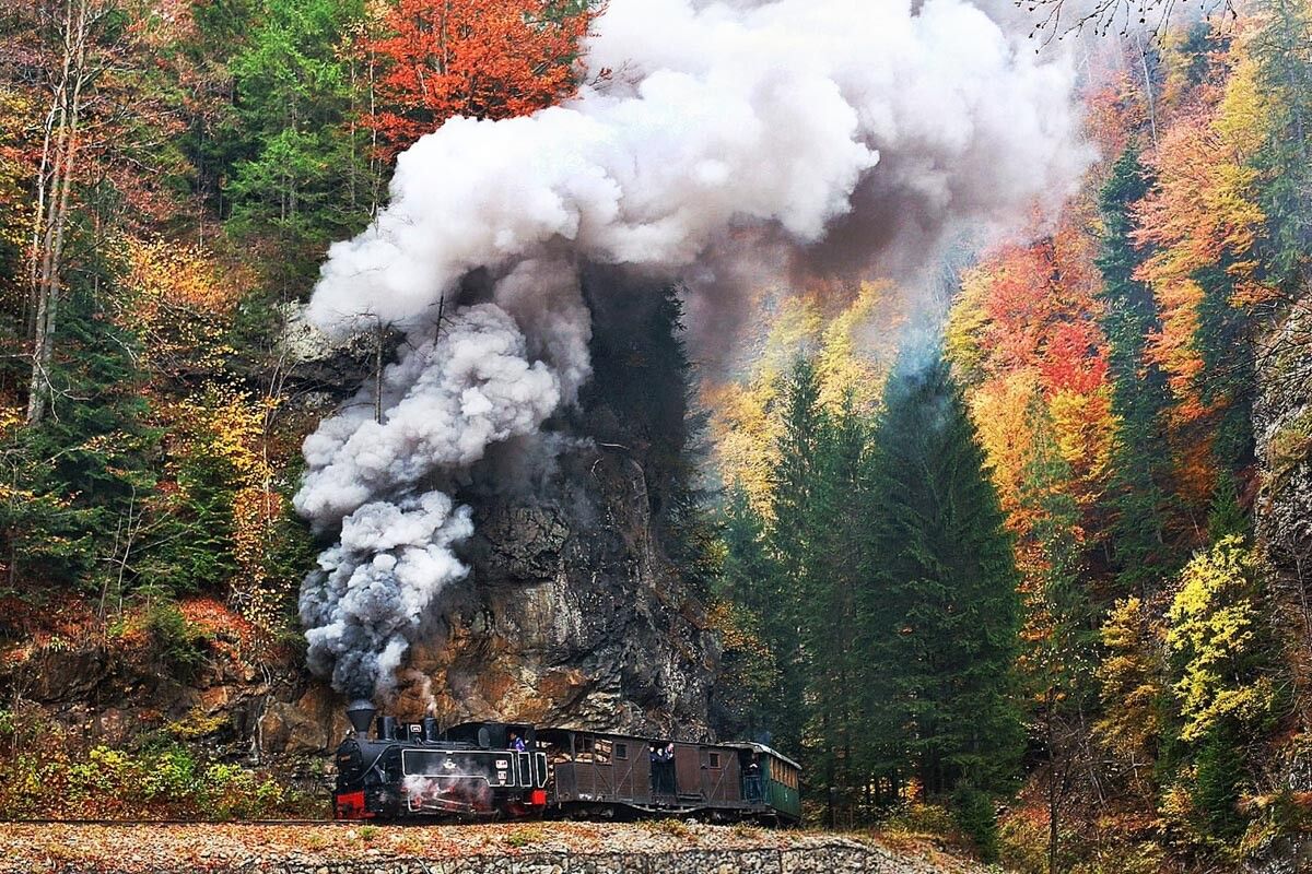 Slow train (mocanita), Maramures