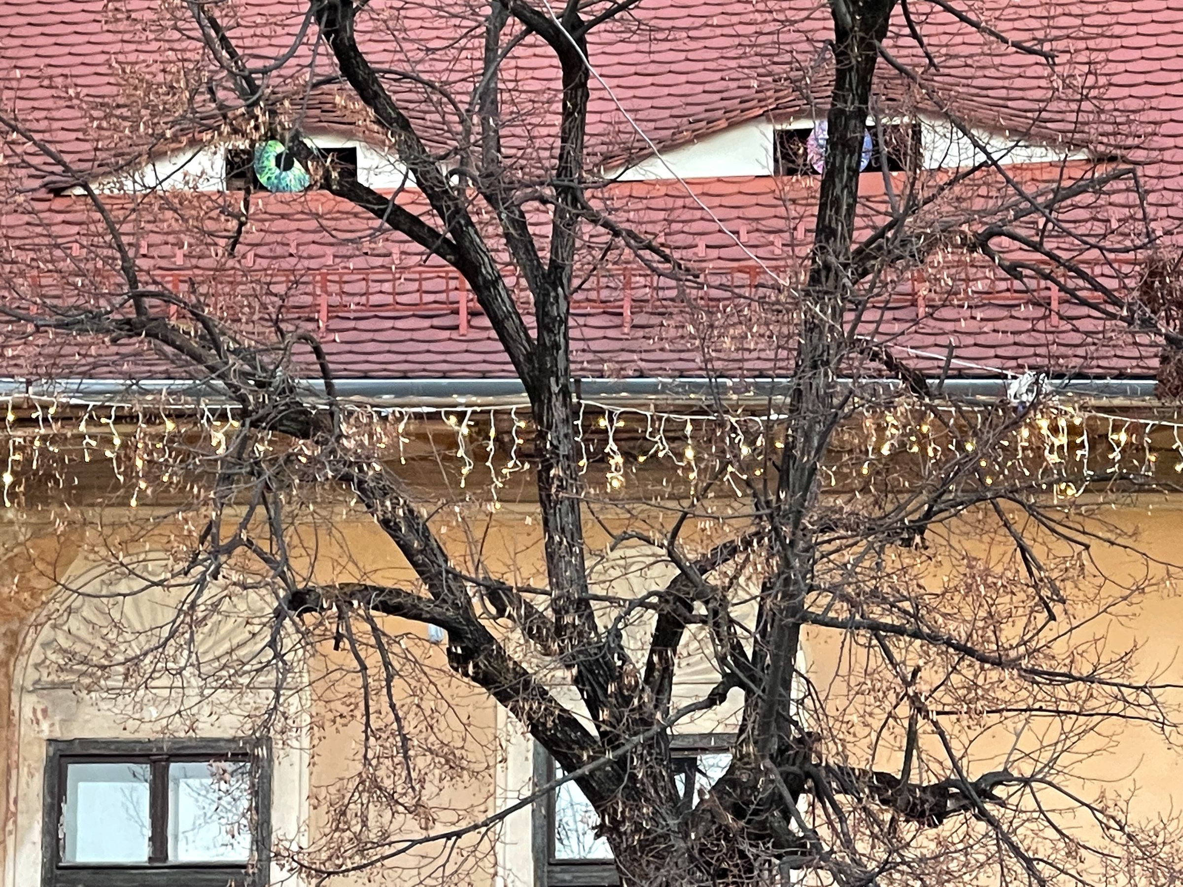 Transilvanian House Detail