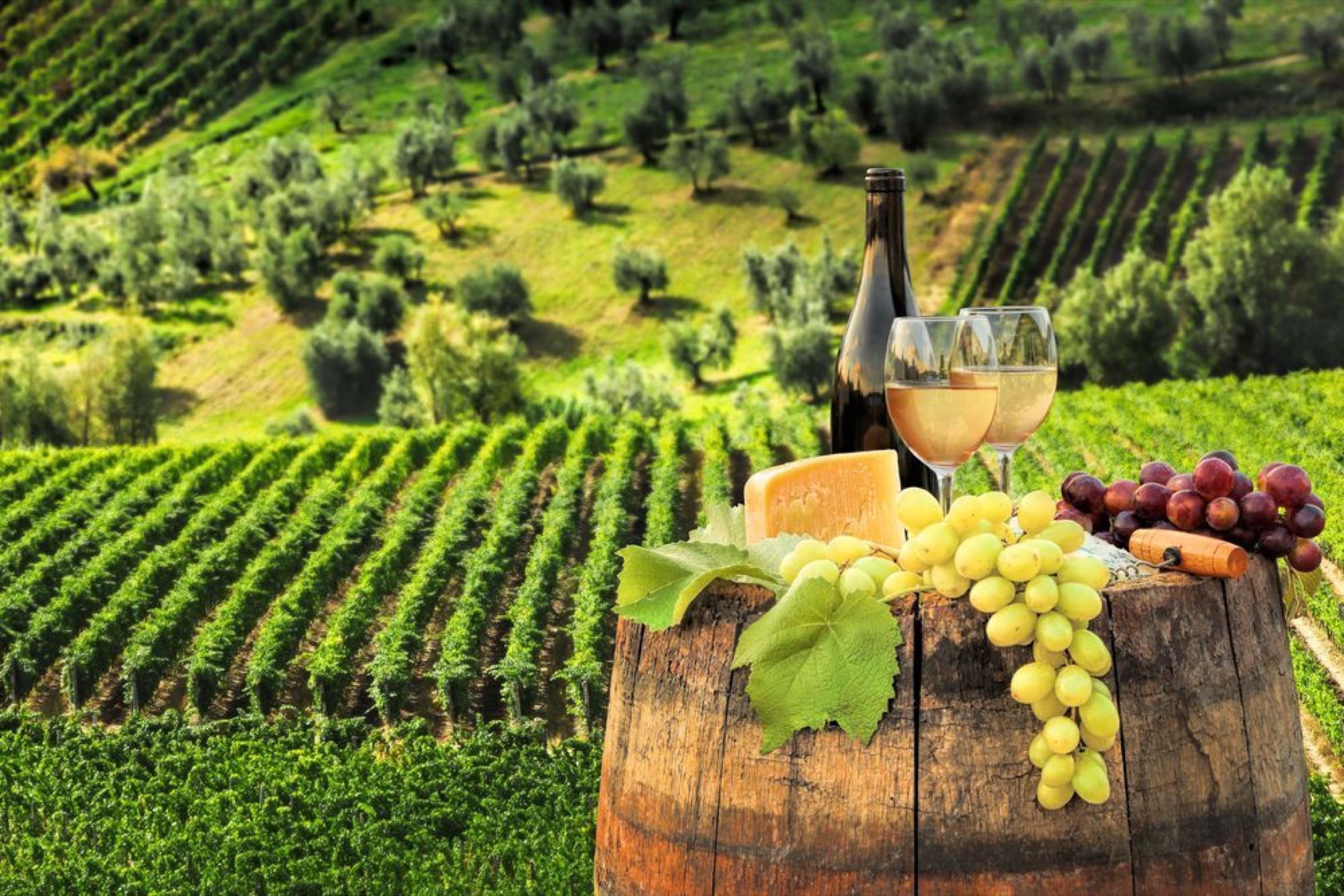 Wine and cheese pairing