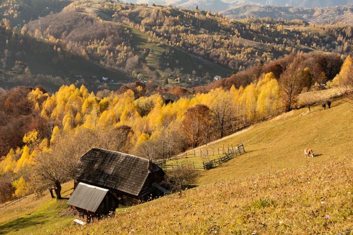 Autumn in Balaban, Moeciu