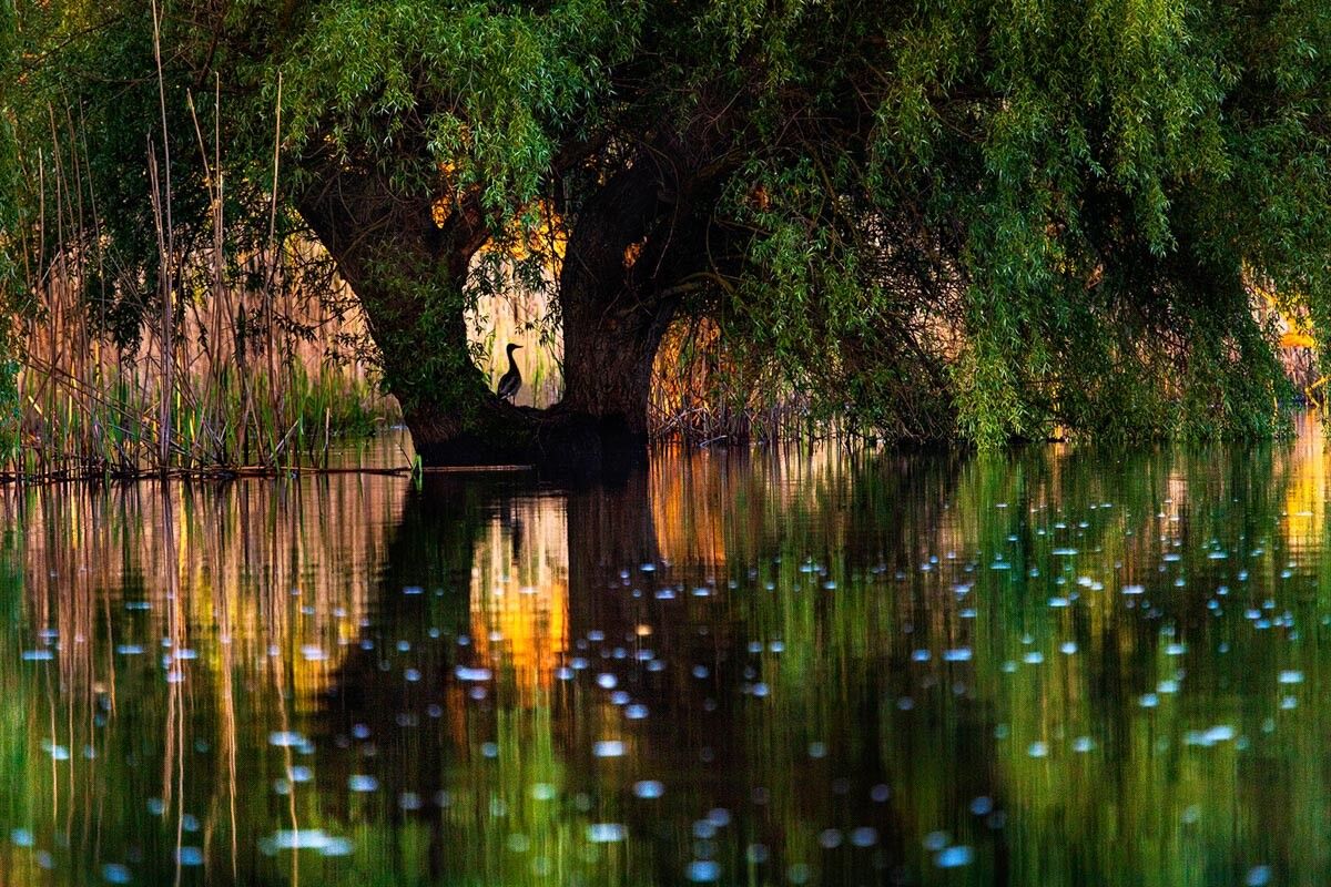 Danube Delta and Dobrudja Tour