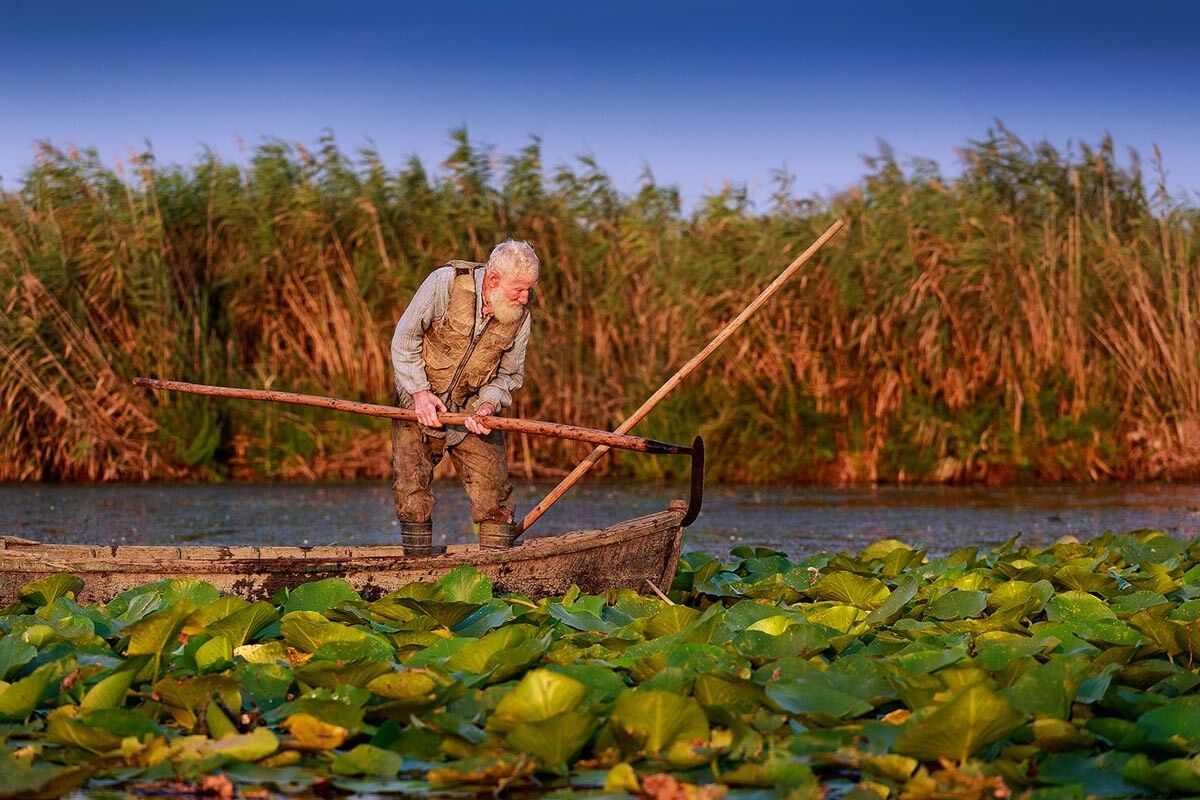 Fisherman in the Danube Delta