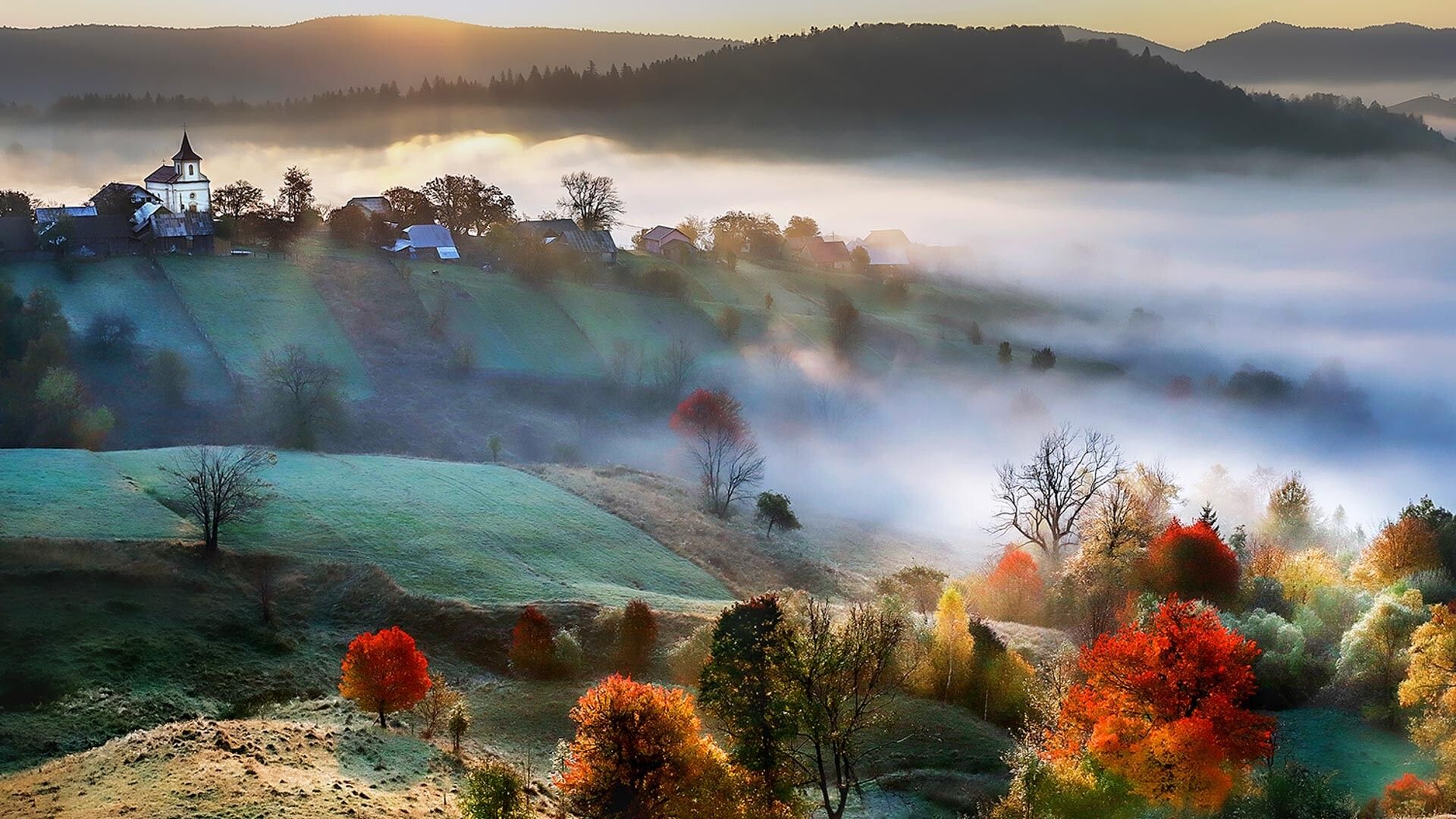 Bucovina Step by Step Tour