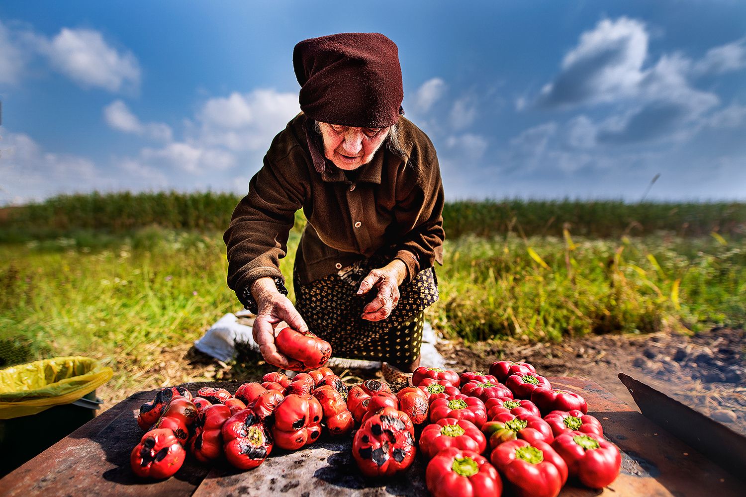 Preparing Zacusca