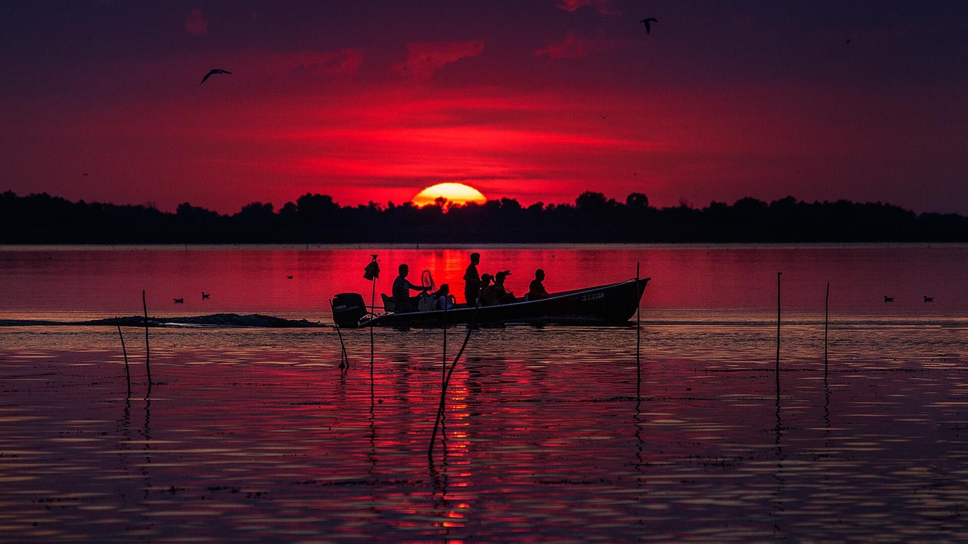 Dobrogea