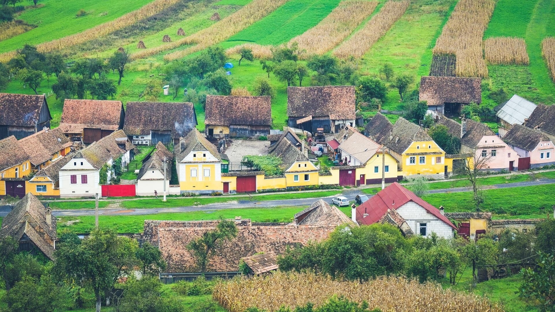 Saxon Fortified Churches