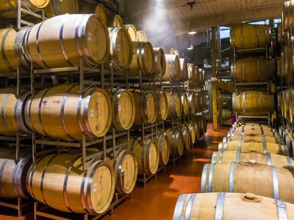 Wine tasting
