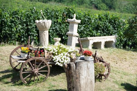 Wine country